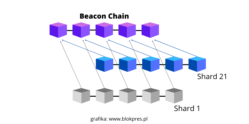 Beacon chain i shardy