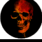 Skull logo