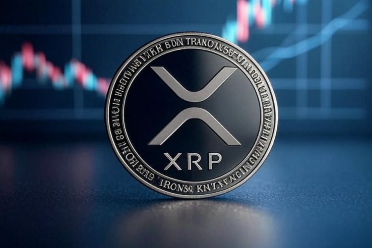 XRP wzrost