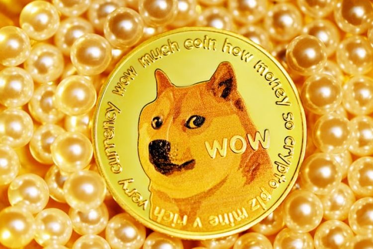 Doge to the moon
